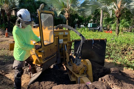 tree-stump-removal-miami